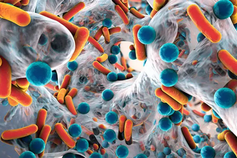 Cura naturale delle unghie e barriera cutanea maschile